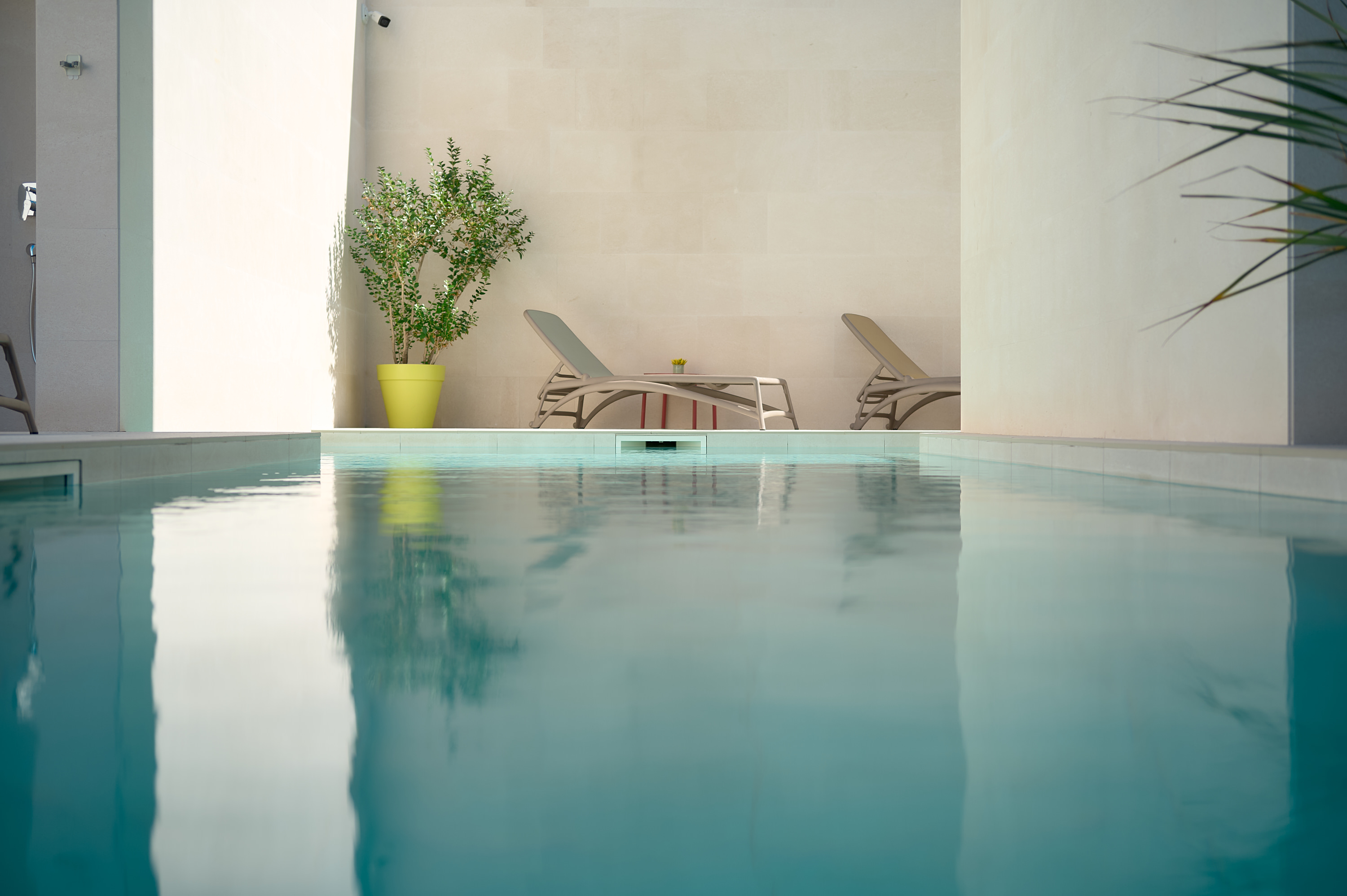 Deck chairs and pool